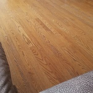 Meet your Posher, Ben